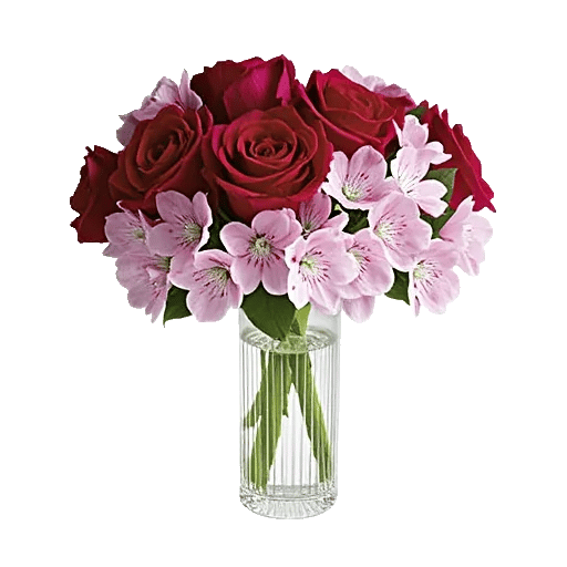 Crimson Blossom Harmony