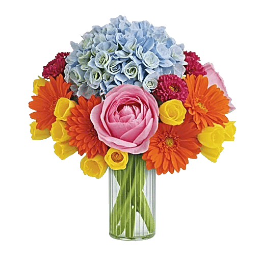 Petal Radiance Bliss