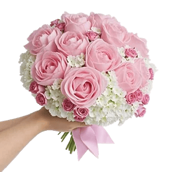 Peony Petal Harmony