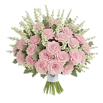 Pastel Pink Roses