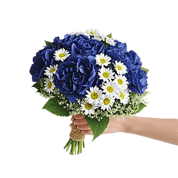 Serene Petal Harmony