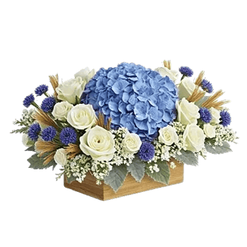 Serene Petal Harmony