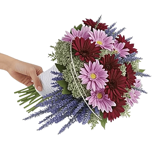 Delicate Petal Cascade