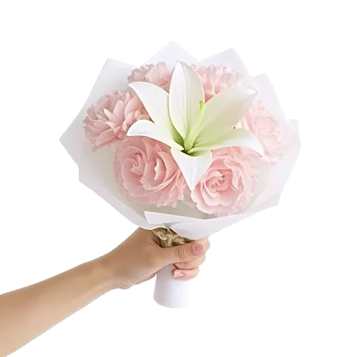 Minimalist White Orchids