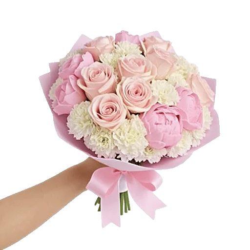 Pastel Pink Roses