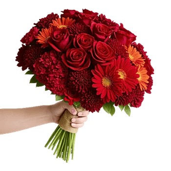 Crimson Rose Elegance