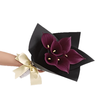 Elegant Calla Lilies