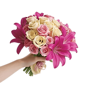 Blushing Rose Symphony