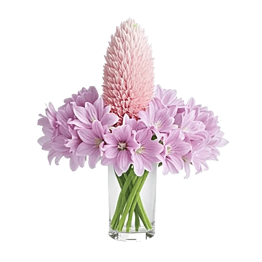 Petal Radiance Bliss