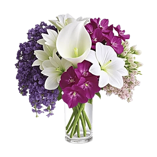 Elegant Calla Lilies