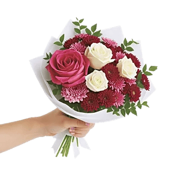 Crimson Rose Elegance