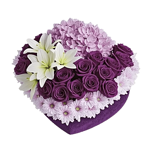 Lavender Bloom Grace