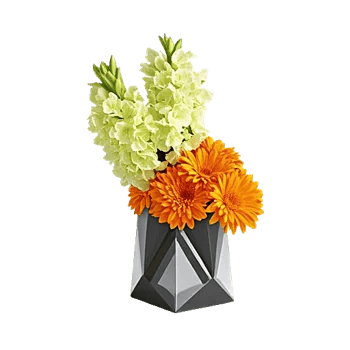 Petal Radiance Bliss