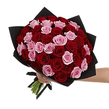 Crimson Rose Elegance