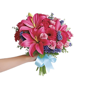 Blushing Rose Symphony