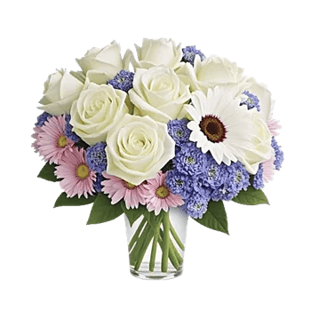 Ivory Blossom Radiance