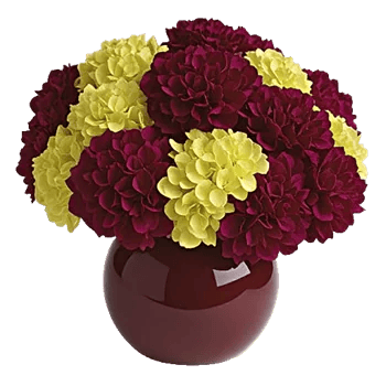 Ivory Blossom Radiance