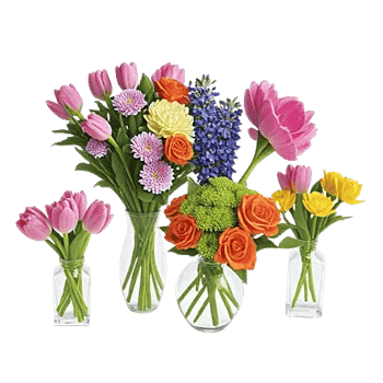 Petal Radiance Bliss