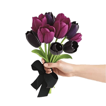 Velvet Tulip Display