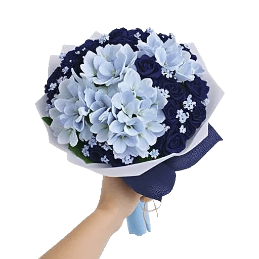 Serene Petal Harmony