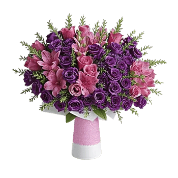 Petal Softness Display