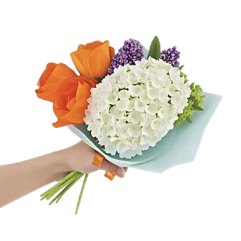 Ivory Blossom Radiance