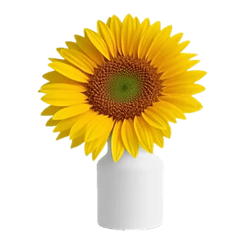 Tropical Sunflower Burst