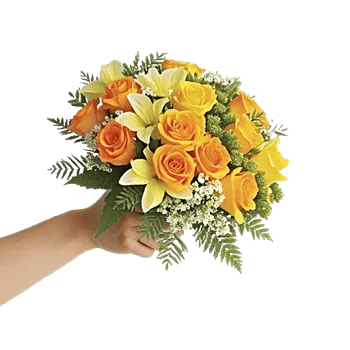 Blushing Rose Symphony