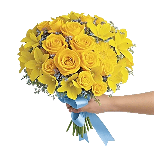 Blossom Harmony Display