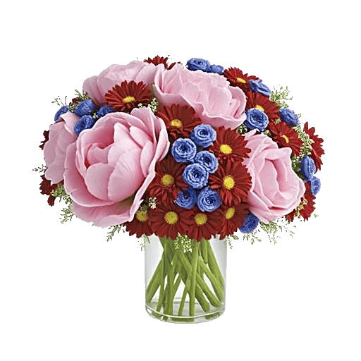 Peony Petal Harmony
