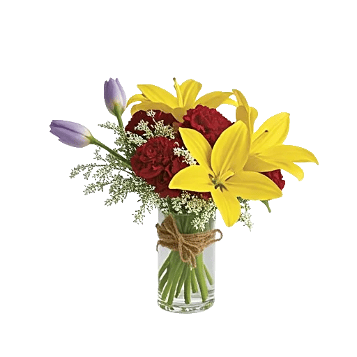 Velvet Tulip Display