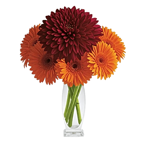 Crimson Blossom Harmony