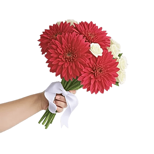 Coral Blossom Harmony
