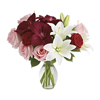 Blushing Rose Symphony