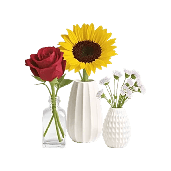 Petal Radiance Bliss