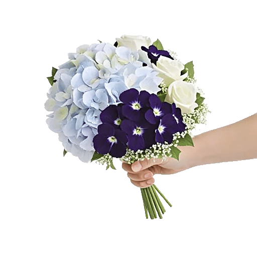 Sapphire Bloom Whisper