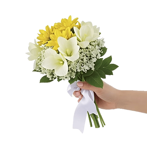 Blossom Harmony Display