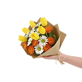 Blossom Harmony Display