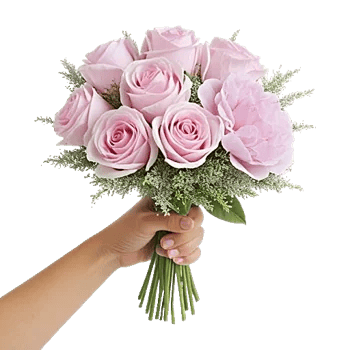 Pastel Pink Roses