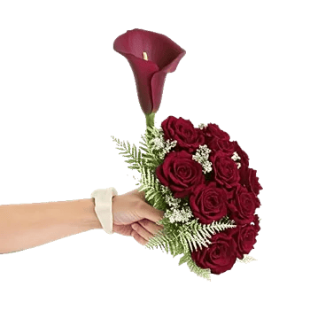 Elegant Calla Lilies