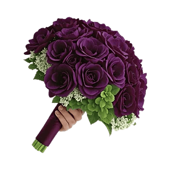 Peony Petal Harmony