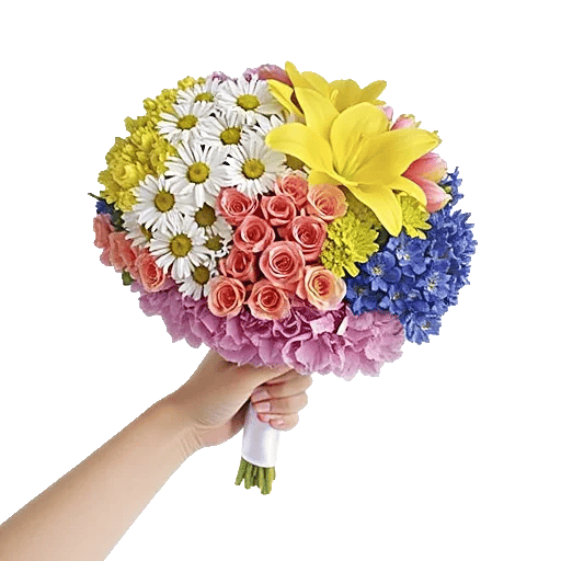 Blossom Petal Serenity