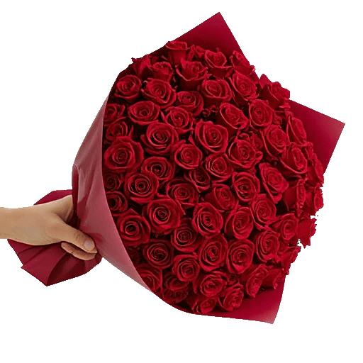 Crimson Rose Elegance