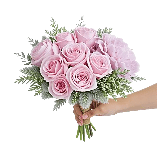 Pastel Pink Roses