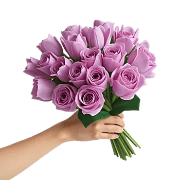 Velvet Tulip Display