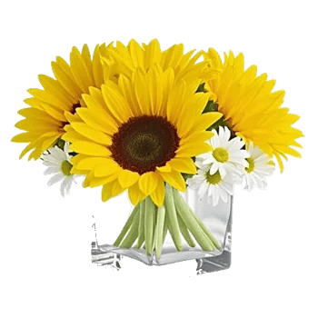 Golden Sunflower Bouquet