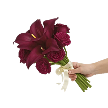 Elegant Calla Lilies