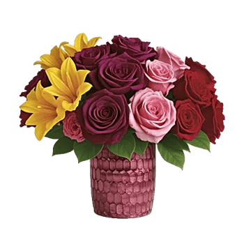 Radiant Rose Symphony