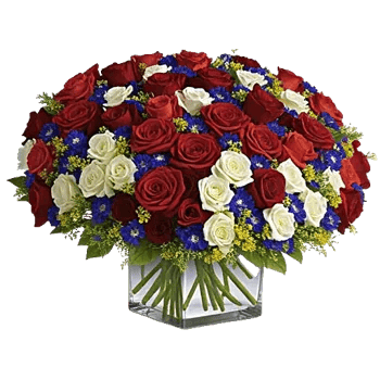 Radiant Rose Symphony