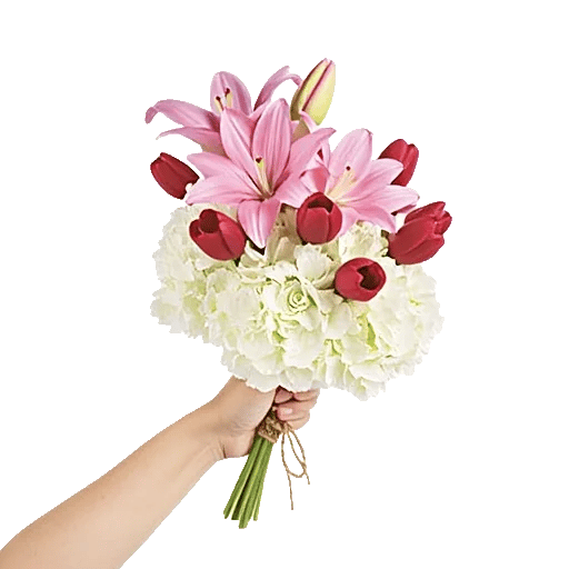 Blossom Harmony Display